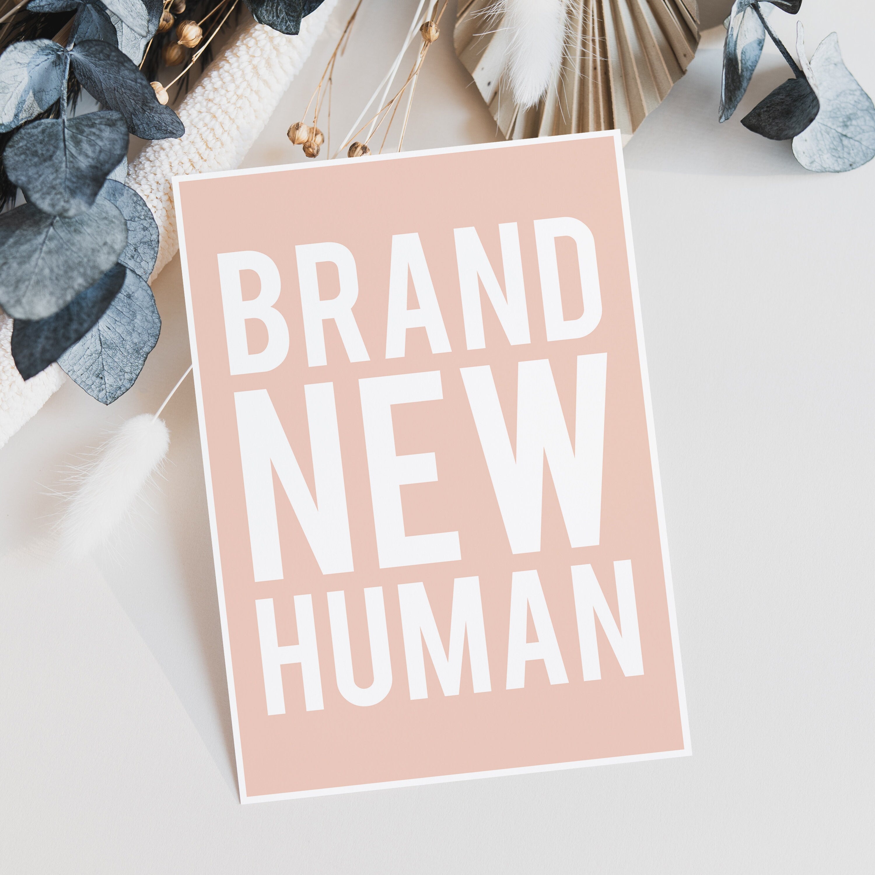 Brand New Human New Baby Card