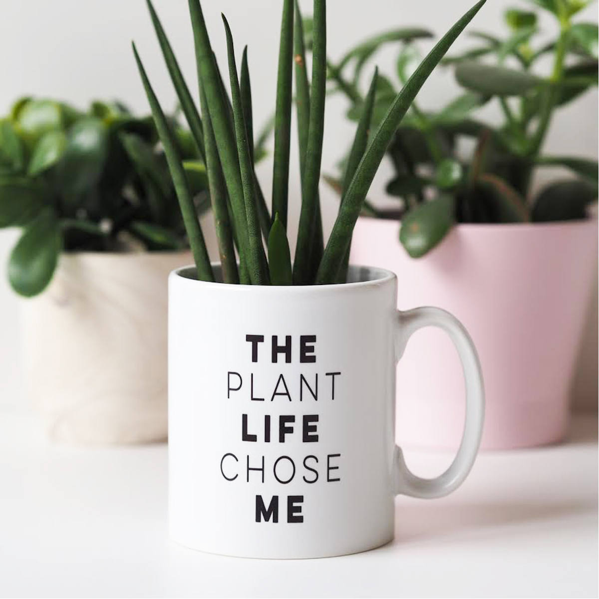 The Plant Life Chose Me Mug - Mug Gift for Plant Lover - Plant Quote Mug - Funny Mug - Mug Gift - Plant Mug