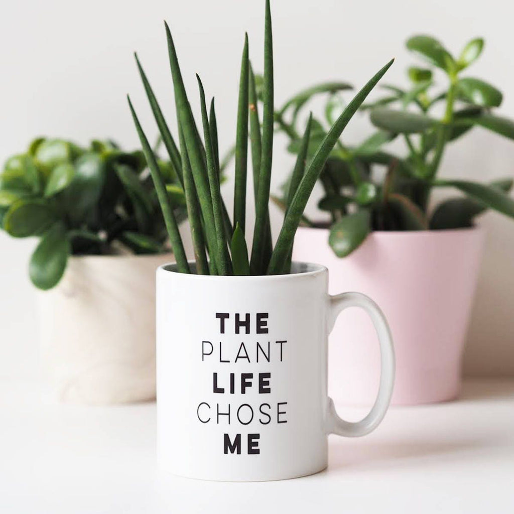 The Plant Life Chose Me Mug - Mug Gift for Plant Lover - Plant Quote Mug - Funny Mug - Mug Gift - Plant Mug