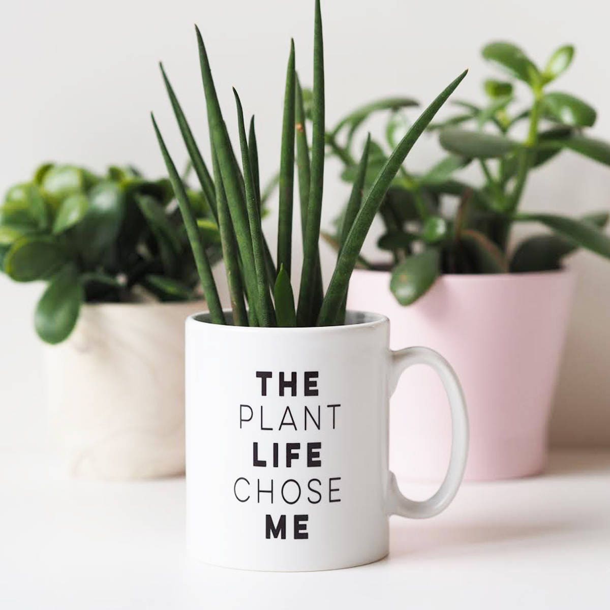 The Plant Life Chose Me Mug - Mug Gift for Plant Lover - Plant Quote Mug - Funny Mug - Mug Gift - Plant Mug