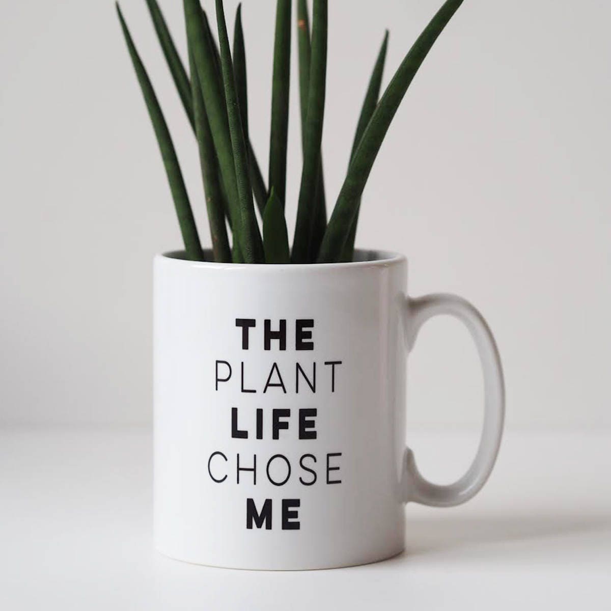 The Plant Life Chose Me Mug - Mug Gift for Plant Lover - Plant Quote Mug - Funny Mug - Mug Gift - Plant Mug