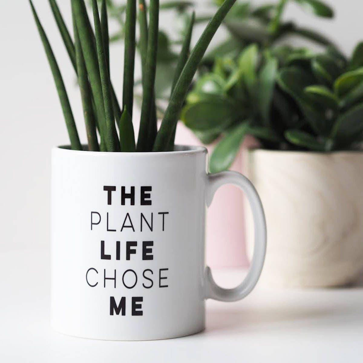 The Plant Life Chose Me Mug - Mug Gift for Plant Lover - Plant Quote Mug - Funny Mug - Mug Gift - Plant Mug