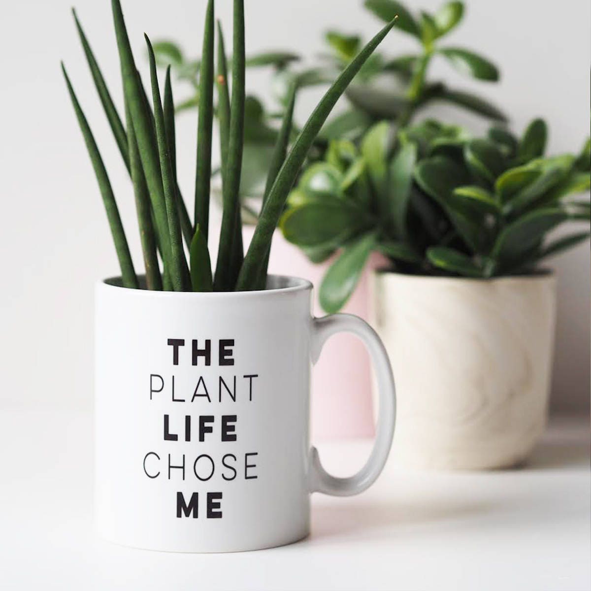 The Plant Life Chose Me Mug - Mug Gift for Plant Lover - Plant Quote Mug - Funny Mug - Mug Gift - Plant Mug
