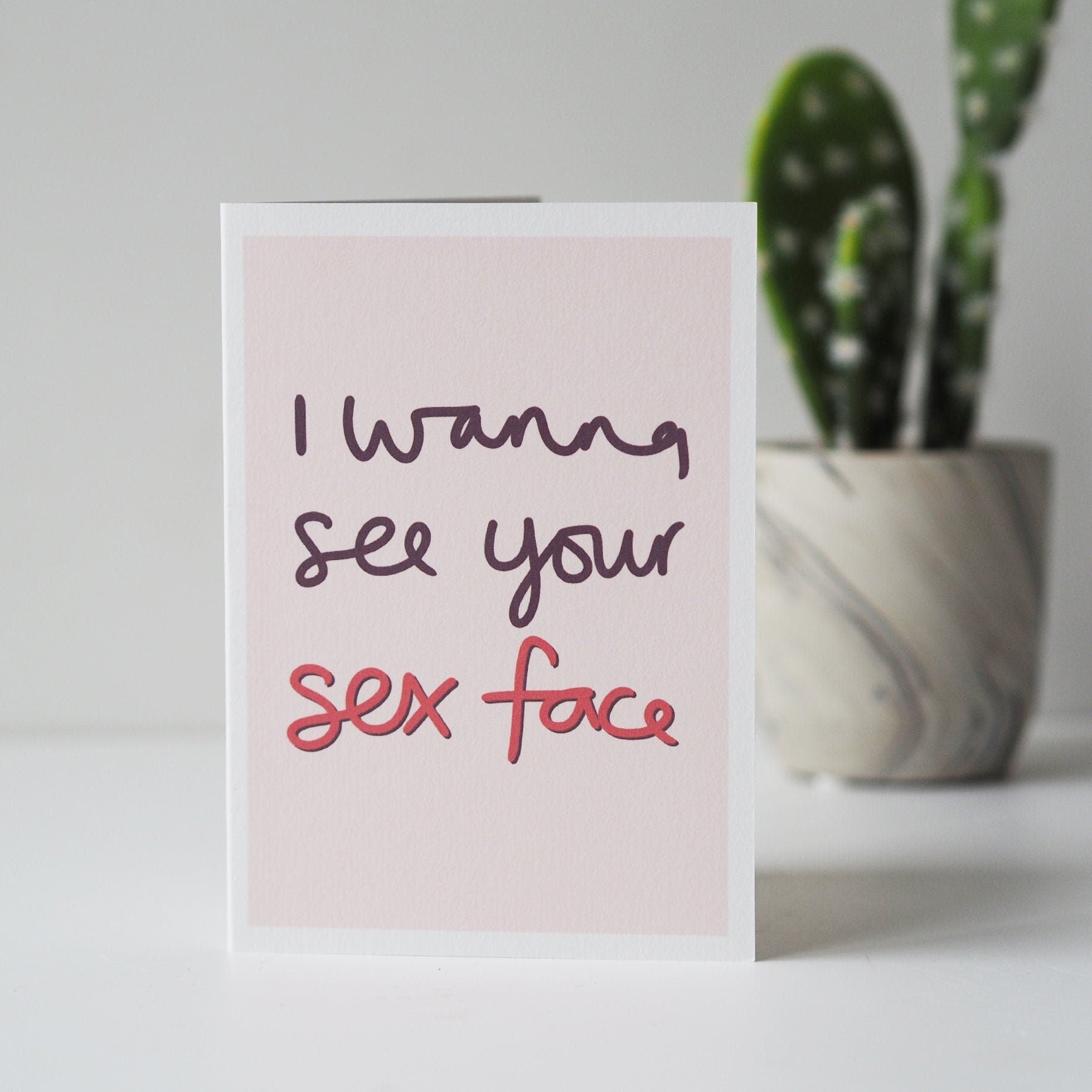 I Wanna See Your Sex Face Funny Valentines Day Card